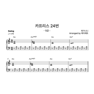 [급수 5급] 카프리스 24번 Swing ver.